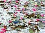 ภาพโดย(T.suwan)